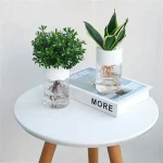Mini Hydroponic Flower Pot Transparent Soilless Plant Vase for Home Decoration, Imitation Glass Green Plants Pot 3