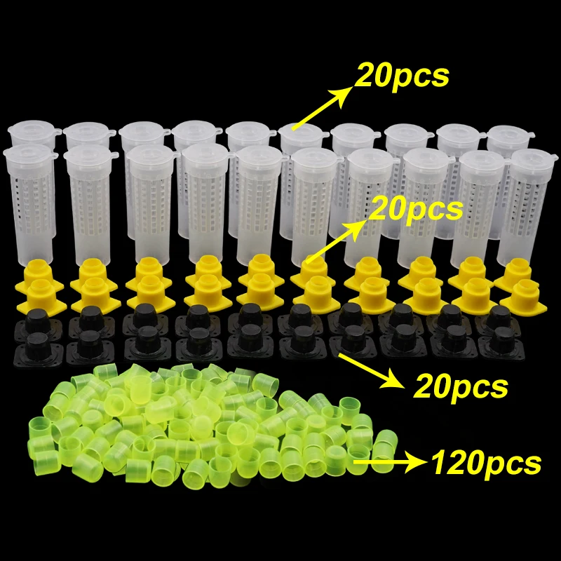 1 Set Beekeeping Cages King Queen Rearing System Plastic Bee Catcher Box Cell Cups Complete Kit Apicultura Tools Supplies 1 Set Beekeeping Cages King Queen Rearing System Plastic Bee Catcher Box Cell Cups Complete Kit Apicultura Tools Supplies