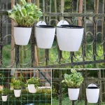 Wall-Mounted Indoor Automatic Water-absorbing Flowerpot Plastic Flowerpot Succulent Green Dill Small Green Plant Flower Pot 4