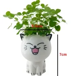 1pc Ceramic Flowerpot Mini Cat Cartoon Cute Plant Desktop Potted Plant Pot DIY Decorate Toys Science Education School Gifts 3