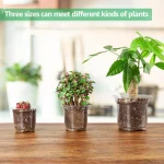 30 Packs 3.5/4/5 Inch Clear Nursery Pots, Transparent Plastic Planter with Drainage Holes, Seed Starting Pot Flower Plant Contai 2