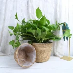 Straw Weaving Flower Plant Pot Basket Grass Planter Basket Indoor Outdoor Flower Pot Cover Plant Containers for Plantable Plants 3