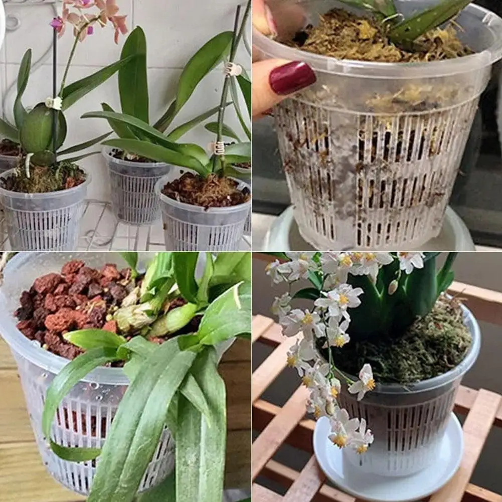 11/14/16/19cm Mesh Pot Root Control Transparent Flowerpot for Flower Breathable Growth Container Drainage Hole Orchid Pot 11/14/16/19cm Mesh Pot Root Control Transparent Flowerpot for Flower Breathable Growth Container Drainage Hole Orchid Pot