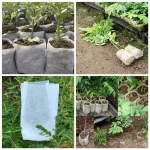 25 - 100PC Biodegradable Seedling Bags Non - Woven Breathable Grow Bags for Vegetable Flower Garden Nursery Hot Sale 5