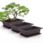 Rectangular Square Flowerpots Imitation Purple Clay Succulent Plants Pots Oval Pots Outdoor Garden Landscape Bonsai Pot Trays