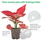30 Packs 3.5/4/5 Inch Clear Nursery Pots, Transparent Plastic Planter with Drainage Holes, Seed Starting Pot Flower Plant Contai 3
