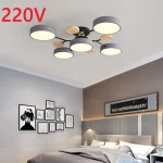 LED Chandelier with 3 Different Colors Suitable for Living Room Bedroom Hotel apartment Study Home Decoration Indoor Lighting 3
