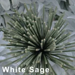 White Sage Lavender Refreshing Mint Aromatherapy Fragrance for Patio, Porch, Poolside, Camping Garden Outdoor Incense Coils 3