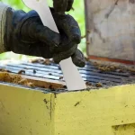 1pc Beekeepers Extracting Scraper Beekeeping Stainless Steel HookHive Tool Beekeeping Equipment 5