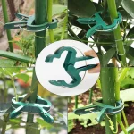 20Pcs Plant Fixed Clips Reusable Garden  Greenhouse Bracket for Fixed Plants Vine Flower  Seedling Stem Suppor t Garden Supplies 5