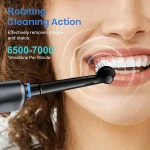 Electric Toothbrush Rotary Rechargeable Electric Toothbrush for Adults Rotating Electric Toothbrushes with 8 Soft Brush Heads 3