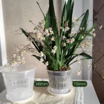 11/14/16/19cm Mesh Pot Root Control Transparent Flowerpot for Flower Breathable Growth Container Drainage Hole Orchid Pot 2