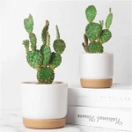 Self Watering Flowerpot Automatic Water Absorption Storage Round Double-layer Succulent Planter Pot Small Green Plant Flowerpot 3