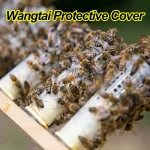 1 Set Beekeeping Cages King Queen Rearing System Plastic Bee Catcher Box Cell Cups Complete Kit Apicultura Tools Supplies 6