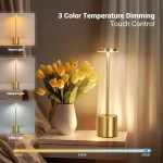 Creative Ambient Light Metal Table Lamp Bar Outdoor Decoration Simple LED Rechargeable Touch Three Colors Bedside Night Light 2