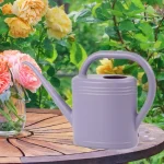 Watering Can Water Can for Plants with Sprinkler Head 2L Long Mouth Watering Can Flower Watering Can for Outdoor House Plant 3