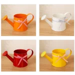 1L Small Metal Watering Can Modern Decorative Plant Watering Pot for Home Office Balcony Garden Indoor Outdoor Bonsai Plants 5