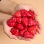 3D Strawberry Aromatherapy Candle Silicone Mold DIY Handmade Romantic Scented for Valentine's Day Party Home Decor Birthday Gift 2