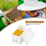 Bee Hive Frame Holder Equipment Multi-Function Beehive Beekeeping King Box Beehive Garden Keeping Bee Tool Beekeeping Supplies 4