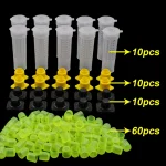 1 Set Beekeeping Cages King Queen Rearing System Plastic Bee Catcher Box Cell Cups Complete Kit Apicultura Tools Supplies 2