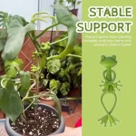 Support for Plants Accessories Tomato Plant Support Gardening Supplies Garden Gadgets Garden Pots & Planters Plant Stand Indoor 2