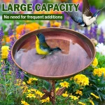 Garden Birdbath Sturdy Iron Outdoor Bird Bath for Outside Vintage Standing Birdbath Bowl for Outdoor Garden Patio Yard 3