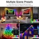 RGBIC LED String WS2812B Bluetooth USB Music Dream Color Light 5V Christmas Birthday Party Garland Decor Fairy Lights for Home 5