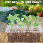 12 Cells Hole Plastics Plant Pots Grow Box Plant Seedling Pots Gardening Sowing Tray Tools Hydroponics Growing System Indoors 4