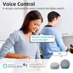 2 Way Control  Tuya Mini 16A WiFi Switch Smart Life App Smart Home Automation Module Interruptor Work for Alexa Google Home 2