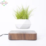 Levitating Air Bonsai Pot Rotation Flower Pot Planters Magnetic  Suspension Floating Pot Potted Plant Home Desk Decor 3