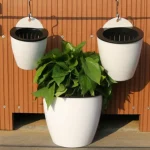 Wall-Mounted Indoor Automatic Water-absorbing Flowerpot Plastic Flowerpot Succulent Green Dill Small Green Plant Flower Pot 3