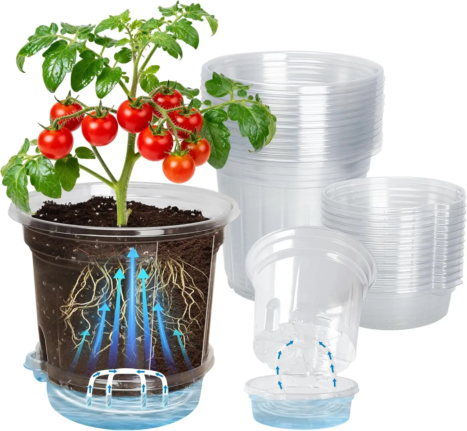 12 Pack 6.5 Inch Clear Self Watering Plant Pots with Bottom Water Tray & Watering Rope, Transparent Nursery Pots with Drainage f 12 Pack 6.5 Inch Clear Self Watering Plant Pots with Bottom Water Tray & Watering Rope, Transparent Nursery Pots with Drainage f