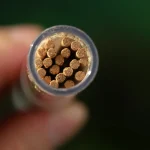 Palo Santo Peruvian Sacred Wood Incense White Sage California Cedar Aromatherapy Natural PlantsIndoor Yoga Aromatherapy 3