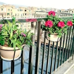 4pcs Stylish Round Metal Hanging Planters - Perfect for Balcony, Garden & Indoor Decor! 6