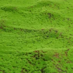 50X50cm Artificial Grass Rug Fake Moss Lawn Garden Landscape Turf Roll Festival Wedding Decoration  Mat Carpet 2