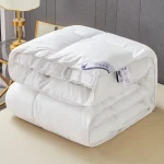 Five-star Hotel Duvet 95 White Goose Down Thick Warm Winter Quilt Spring and Autumn Quilt Duvet Insert Student Dormitory Quilt 5