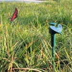 5-1pcs Solar Garden Butterfly Solar Flying Butterflies Garden Dancing Fluttering Butterfly Hummingbird Garden Yard Home Decor 2