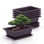 Rectangular Flowerpots Plastic Bonsai Plants Pot Square for Flower Balcony Garden Yard Landscape Bonsai Pot Trays Home Decor 3
