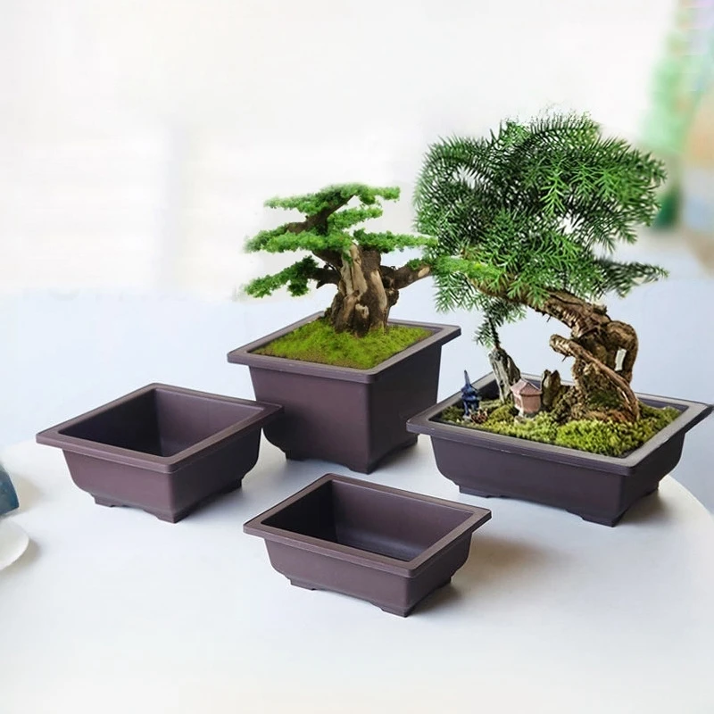 Rectangular Bonsai Training Pots Plastic Flowerpot with Drainage Tray Succulent Plants Pot Bonsai Plants Growing Pots Home Decor Rectangular Bonsai Training Pots Plastic Flowerpot with Drainage Tray Succulent Plants Pot Bonsai Plants Growing Pots Home Decor