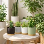 4pcs Flowerpot 5inch Removable Bottom Round Flower Pot Detachable Bottom Flower Pot Home Supplies Breathable Flower Pot 5