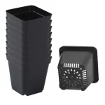 Seedling Pots 50Pcs Square Plant Seeding- Planting Cup Plastic Deep Nursery Tree Pot Flower Plant Container Pot Garden Grow 3
