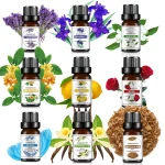 10Ml Essential Oil Fruit Flavor Natural Plant Making Diffuser Essential Oil Mango Pineapple Flavoring Oil for DIY Soap Candles 2