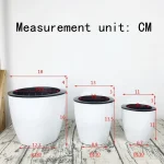 Wall-Mounted Indoor Automatic Water-absorbing Flowerpot Plastic Flowerpot Succulent Green Dill Small Green Plant Flower Pot 6