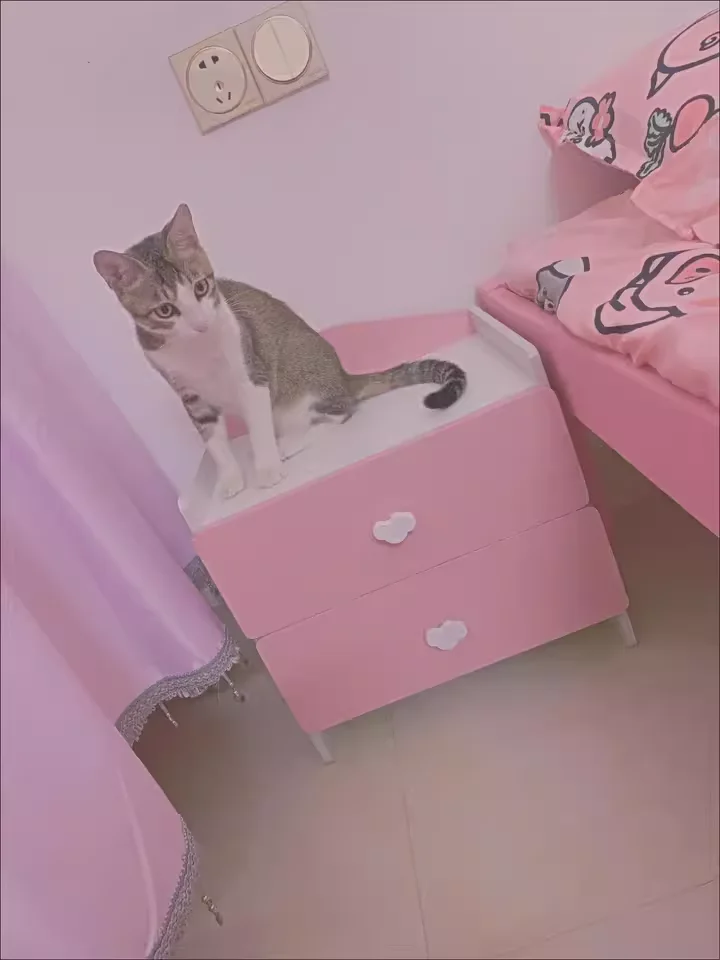 Modern Nightstand with Double Drawers Cute Kid's Bedside Table Multi-Functional White Cabinet for Girls' Bedrooms Modern Nightstand with Double Drawers Cute Kid's Bedside Table Multi-Functional White Cabinet for Girls' Bedrooms