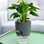 Transparent Double Layer Plastic Flower Pot Self Watering Flowerpot Cotton Rope Watering Small Plant Pot with Injection Port 2