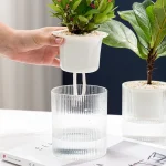 Self Watering Flowerpot Indoor Succulent Hydroponic Plants Pot Mini Planter Pots Fish Tank Tabletop Flower Pot Home Bonsai Decor 4
