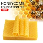 10Pcs Natural Beeswax Sheets Honeycomb Sheet Hive Cell Frame Wax Foundation for Candle Making Craft Beekeeping DIY Supplies