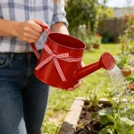 1L Small Metal Watering Can Modern Decorative Plant Watering Pot for Home Office Balcony Garden Indoor Outdoor Bonsai Plants 3