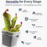 15pcs Self Watering Plant Pots Mini Seedlings Pots Flowerpot Translucent Plastic Planters Plant Propagation Pot with Reservoir 3