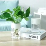Mini Hydroponic Flower Pot Home Vase Decor Transparent Imitation Glass Soilless Plant Pots Green Plants Pot For Home Decorations 4